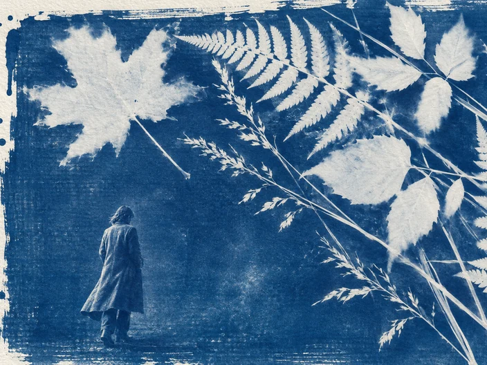 Cyanotype Contact